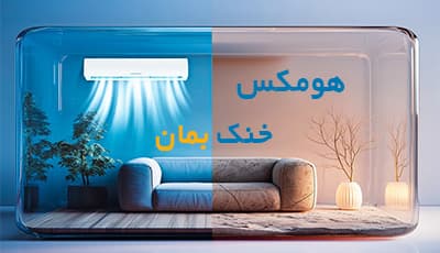هومکس